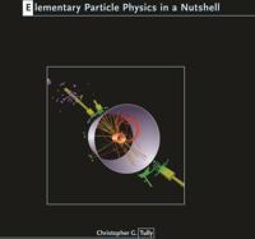 Elementary Particle Physics in a Nutshell