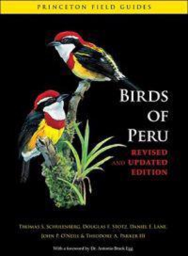 Birds of Peru