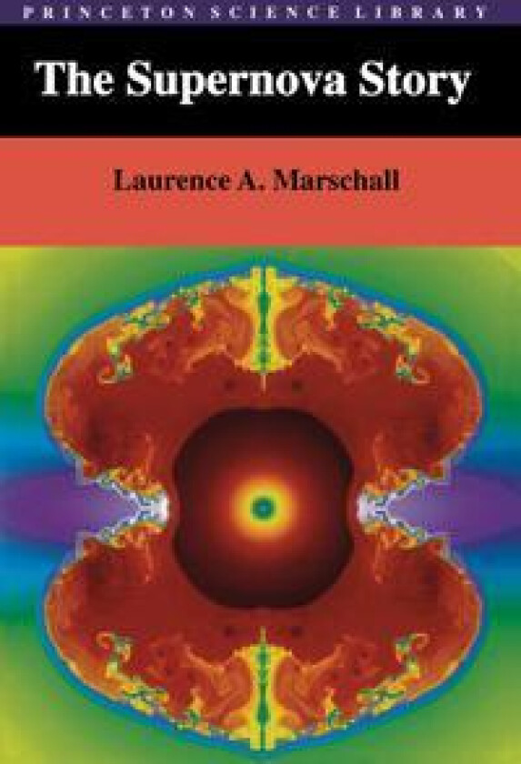 The Supernova Story