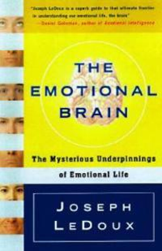 The Emotional Brain