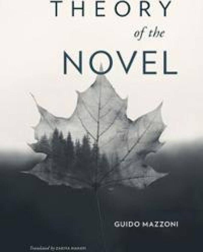 Theory of the Novel
