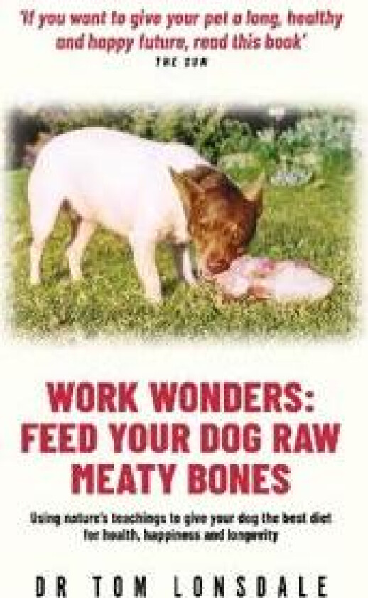 Work Work Wonders