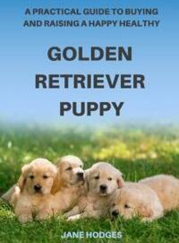 A Practical Guide to Buying and Raising A Happy Healthy Golden Retriever Puppy