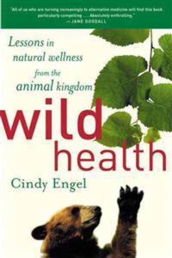 Wild Health: How Animals Keep Themselves Will and What We Can Learn from Them