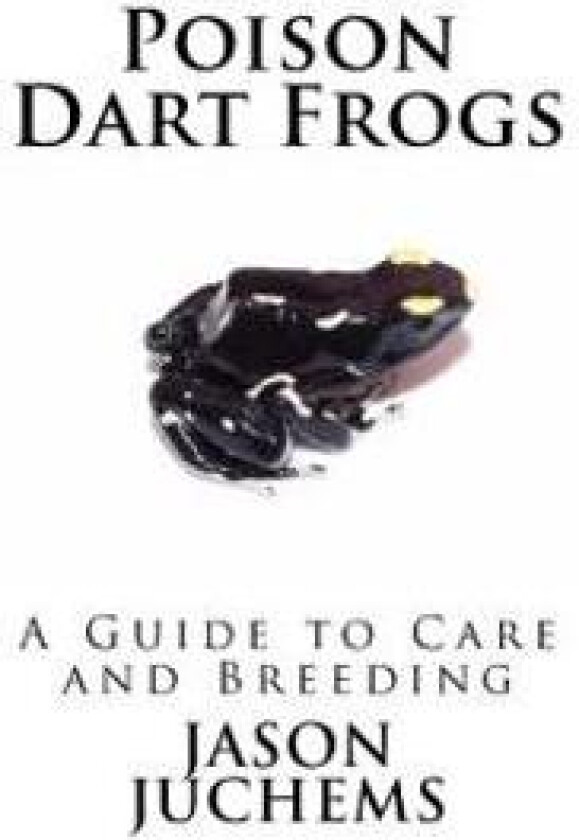 Poison Dart Frogs: A Guide to Care and Breeding