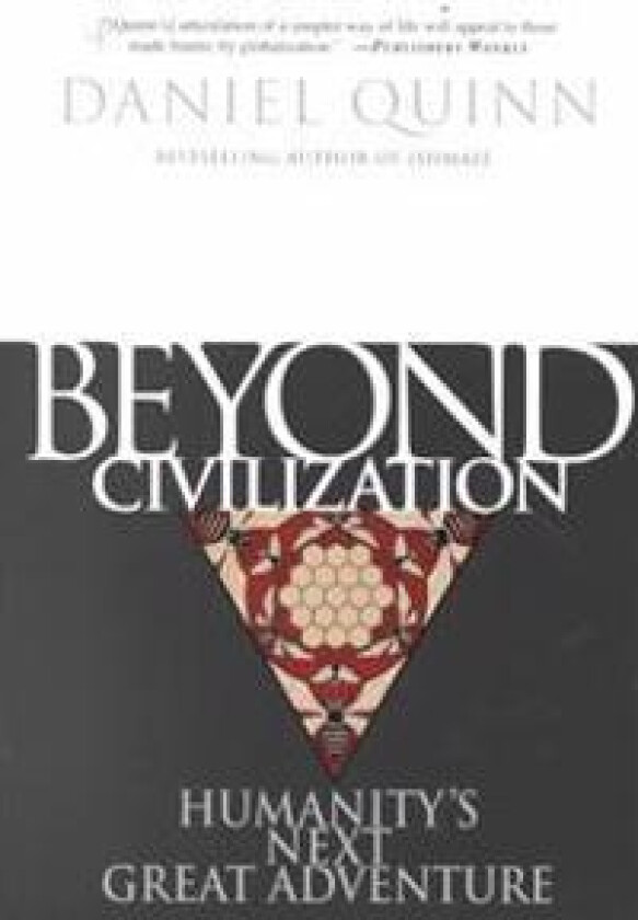 Beyond Civilization