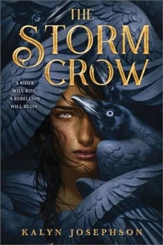 The Storm Crow av Kalyn Josephson