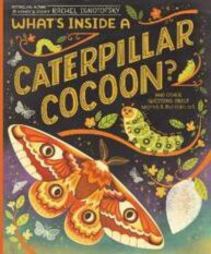 What's Inside a Caterpillar Cocoon?