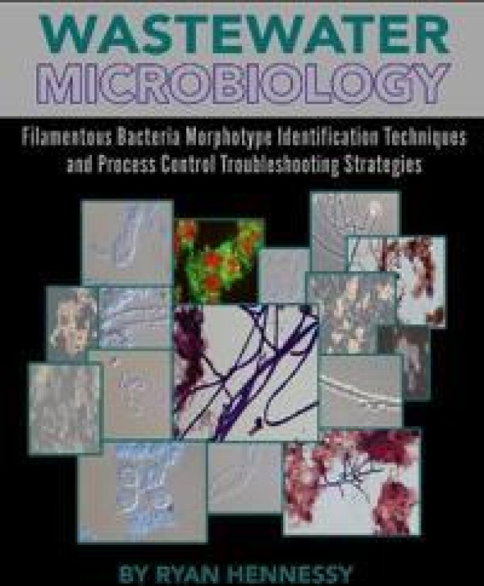 Wastewater Microbiology, Filamentous Bacteria Morphotype Identification Techniques, and Process Control Troubleshooting Strategies