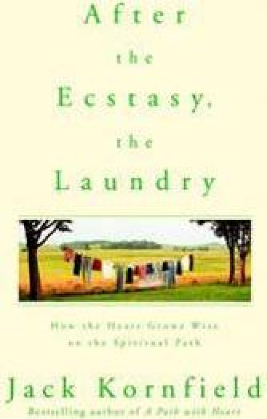 After the Ecstasy, the Laundry: How the Heart Grows Wise on the Spiritual Path
