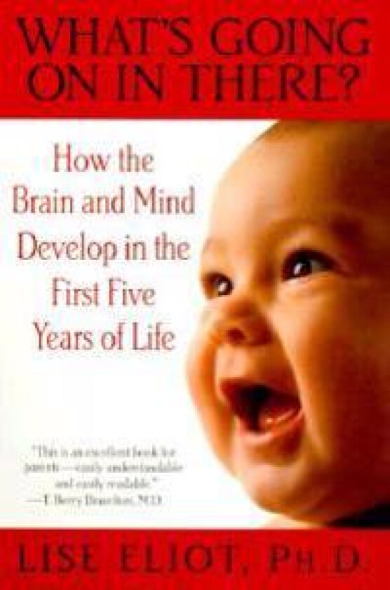 What's Going on in There?: How the Brain and Mind Develop in the First Five Years of Life