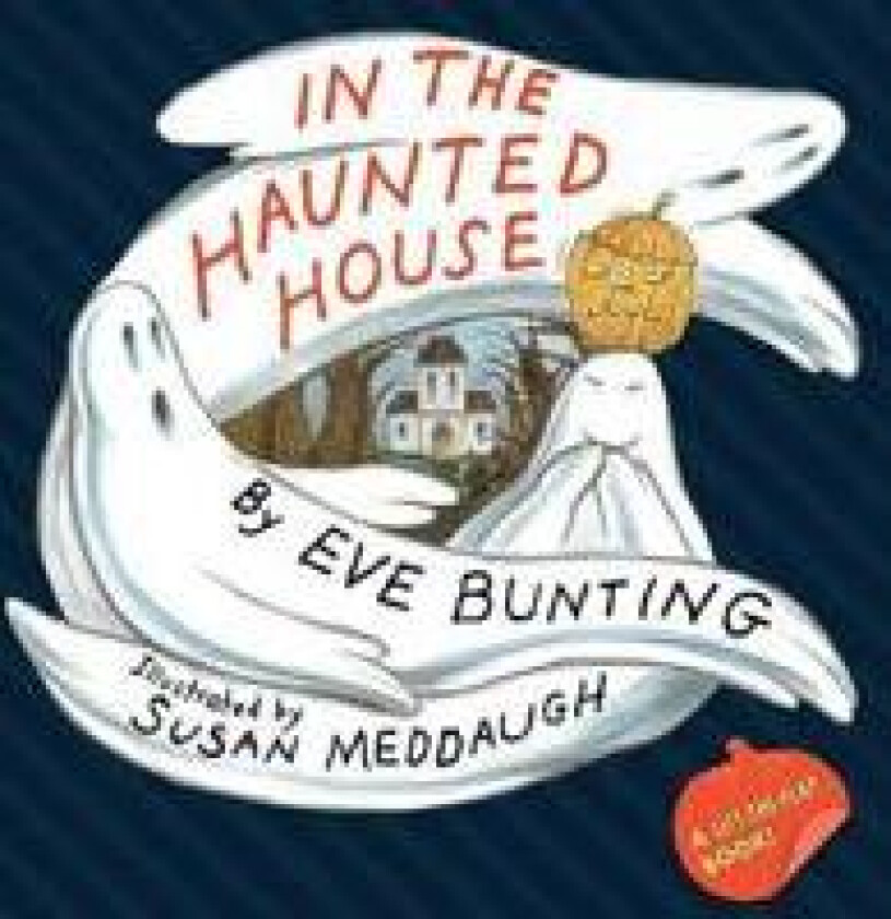 In the Haunted House (A Touch and Feel Lift-the-Flap Book)