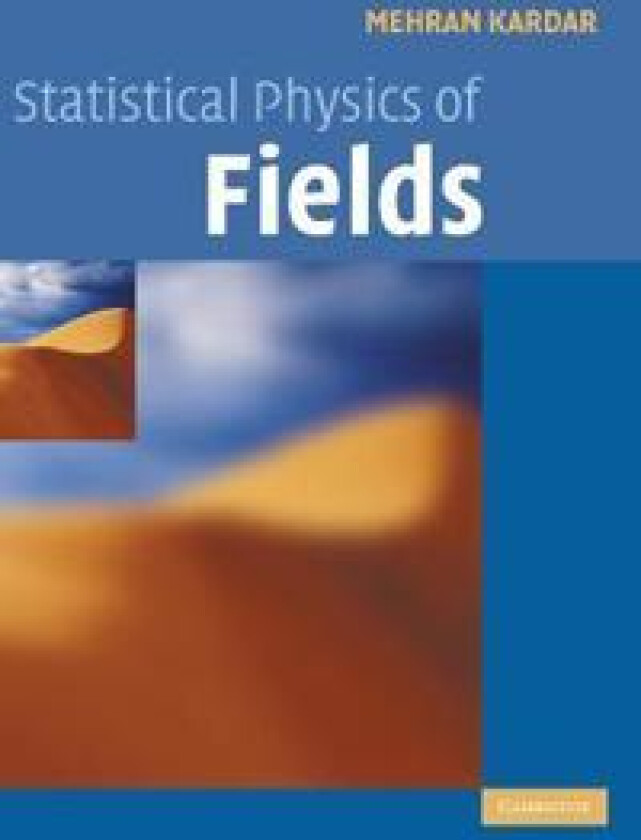 Statistical Physics of Fields