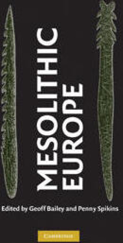 Mesolithic Europe