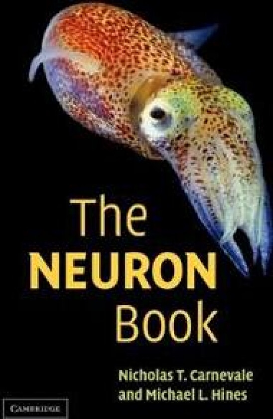 The NEURON Book