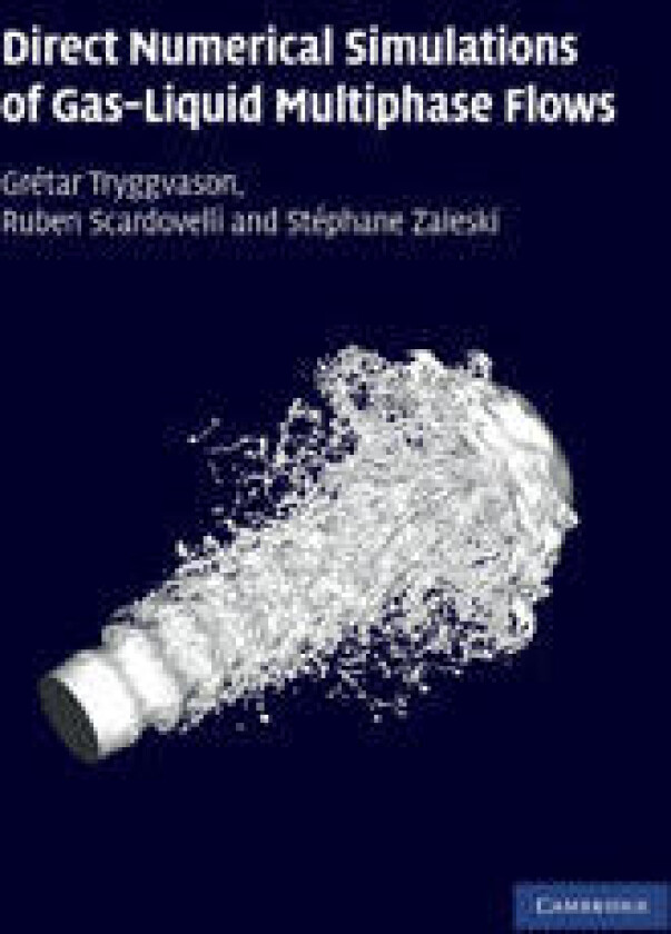 Direct Numerical Simulations of Gas–Liquid Multiphase Flows