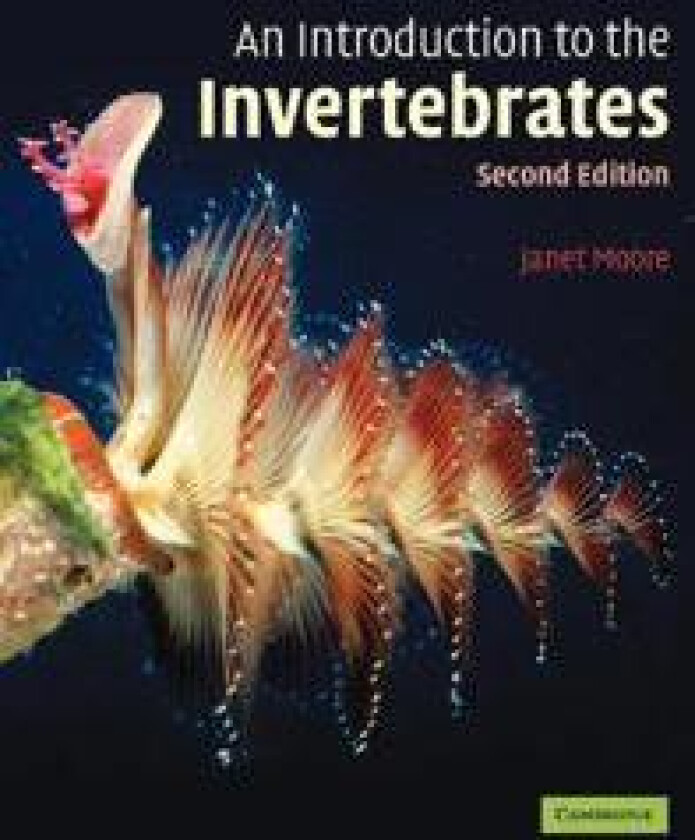 An Introduction to the Invertebrates