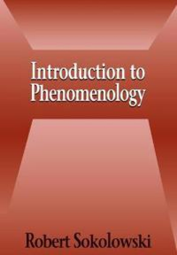 Introduction to Phenomenology