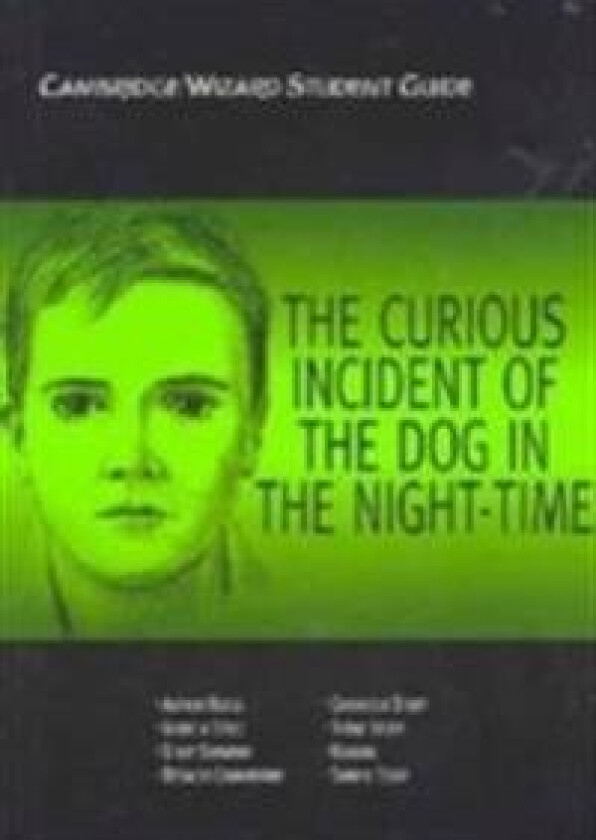 The Curious Incident of the Dog in the Night Time