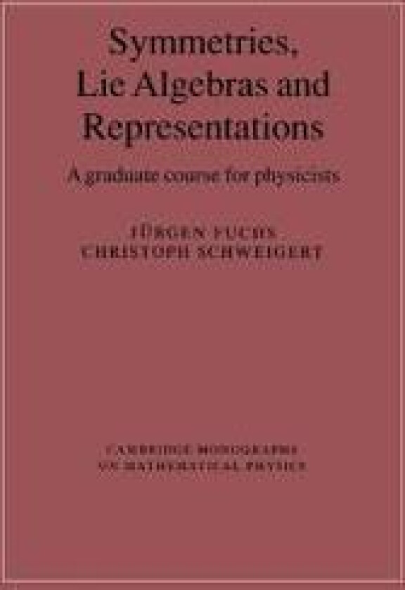 Symmetries, Lie Algebras and Representations