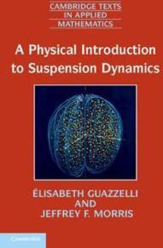 A Physical Introduction to Suspension Dynamics