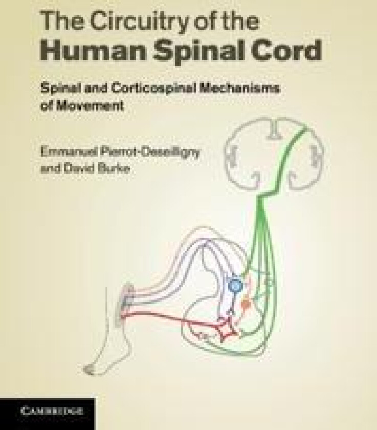 The Circuitry of the Human Spinal Cord