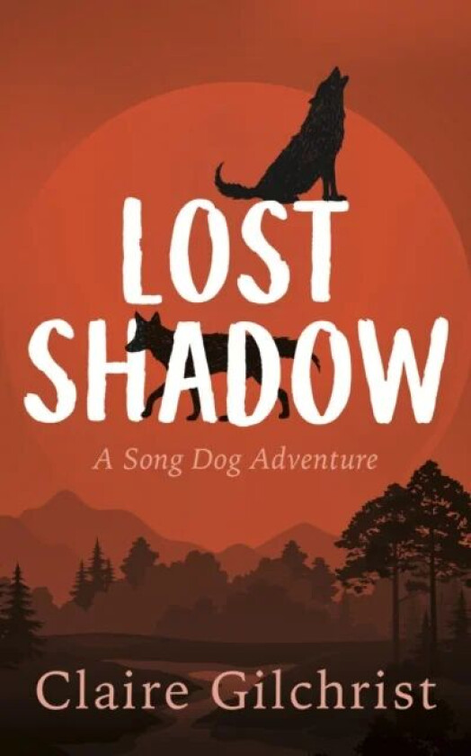 Lost Shadow av Claire Gilchrist