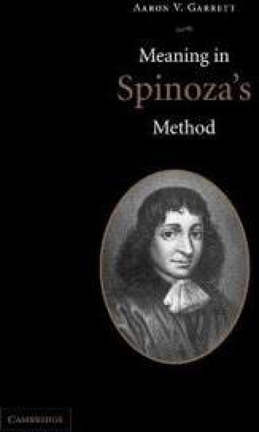 Meaning in Spinoza's Method