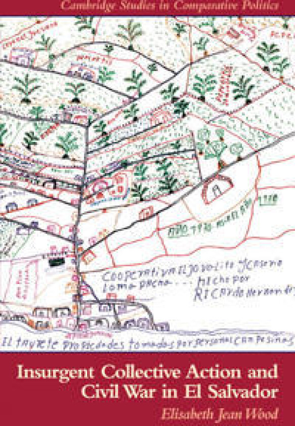 Insurgent Collective Action and Civil War in El Salvador