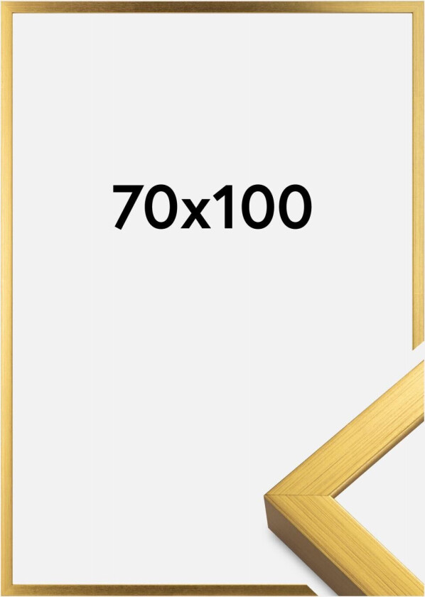 Ramme Falun Akrylglass Gull 70x100 Cm