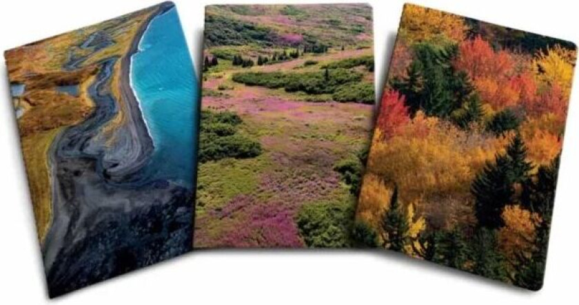 Refuge Sewn Notebook Collection av Insight Editions