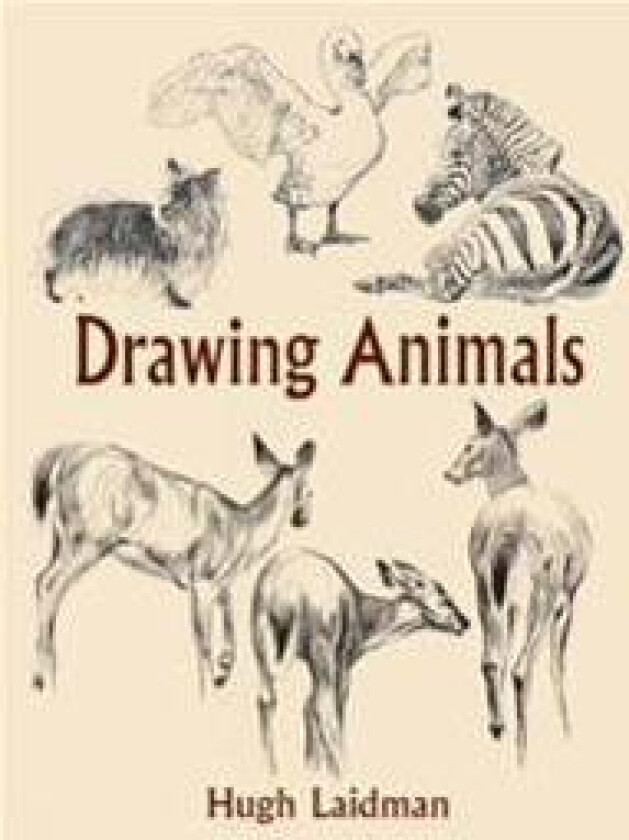 Drawing Animals