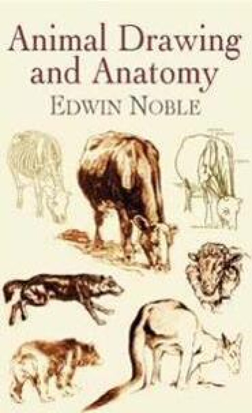 Animal Drawing and Anatomy