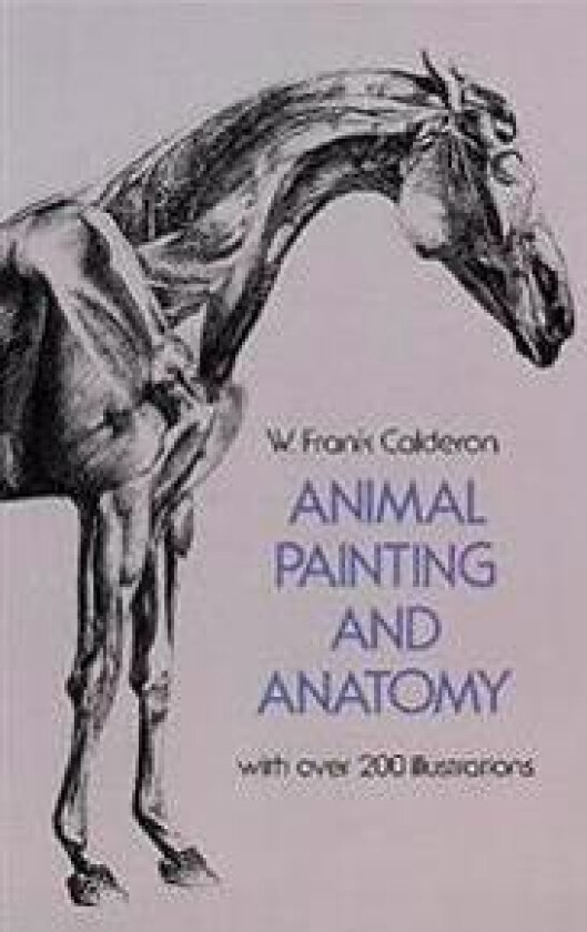 Animal Painting and Anatomy