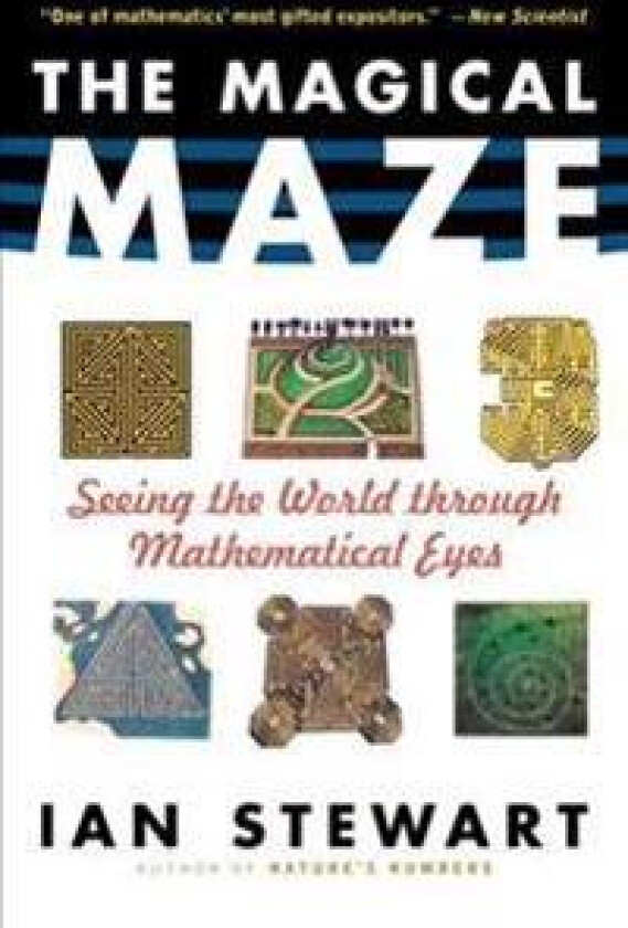 The Magical Maze: Seeing the World Through Mathematical Eyes