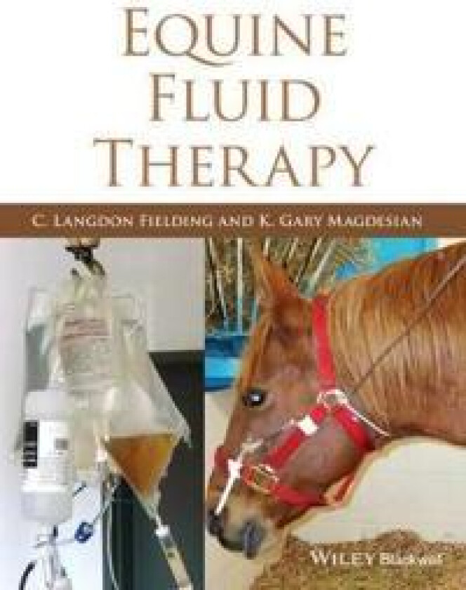 Equine Fluid Therapy