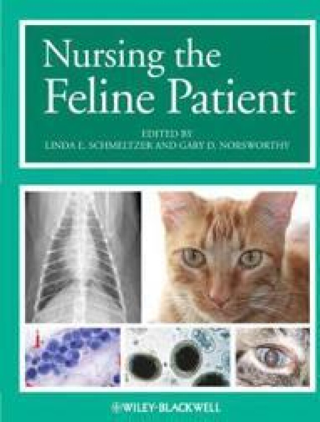 Nursing the Feline Patient