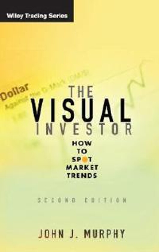 The Visual Investor