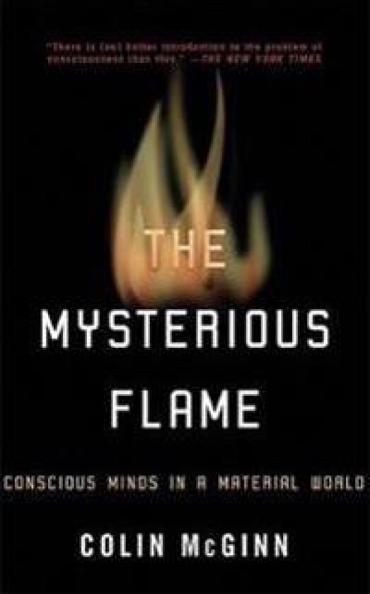 The Mysterious Flame