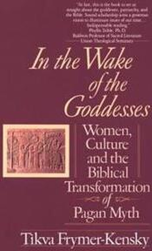 In the Wake of the Goddesses: Women, Culture and the Biblical Transformation of Pagan Myth