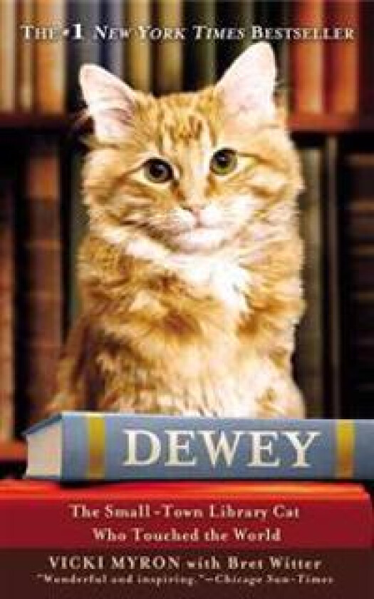 Dewey (Large Print Edition)