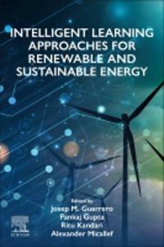 Intelligent Learning Approaches for Renewable and Sustainable Energy