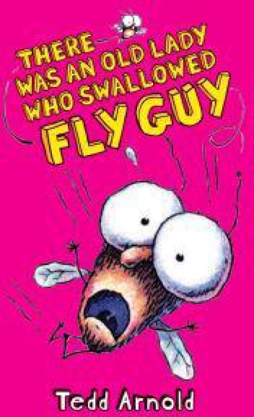 There Was an Old Lady Who Swallowed Fly Guy (Fly Guy #4): Volume 4