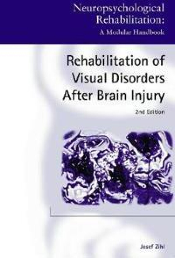 Rehabilitation of Visual Disorders After Brain Injury
