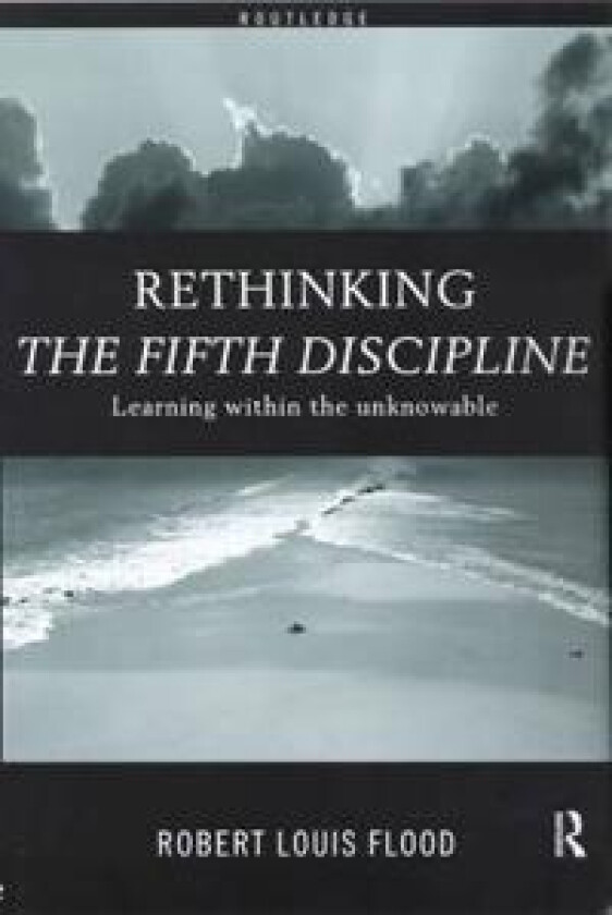Rethinking the Fifth Discipline