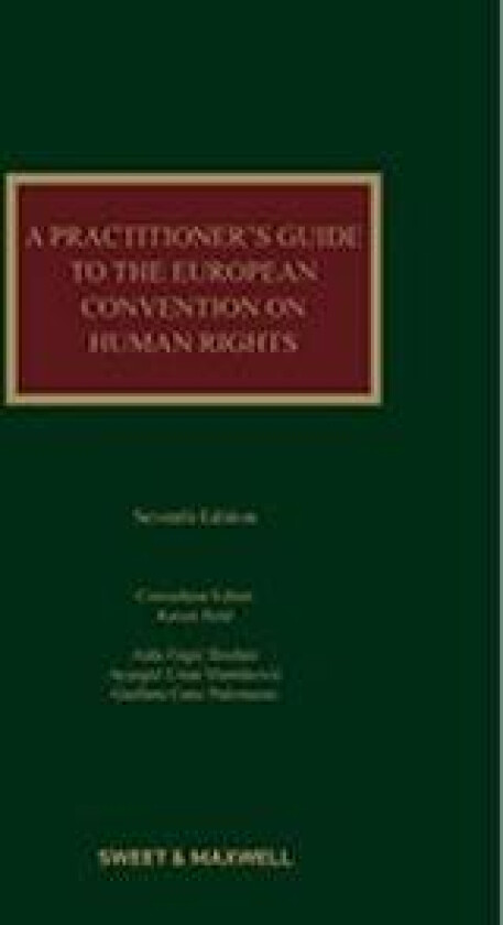 A Practitioner's Guide to the European Convention on Human Rights
