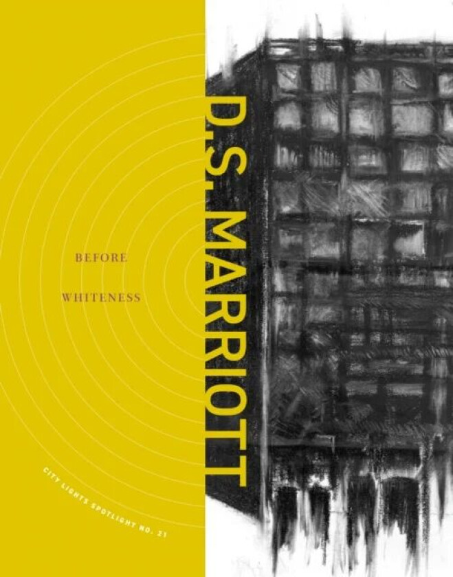 Before Whiteness av D.S. Marriott