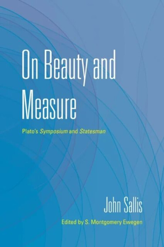 On Beauty and Measure av John Sallis