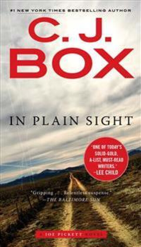 In Plain Sight