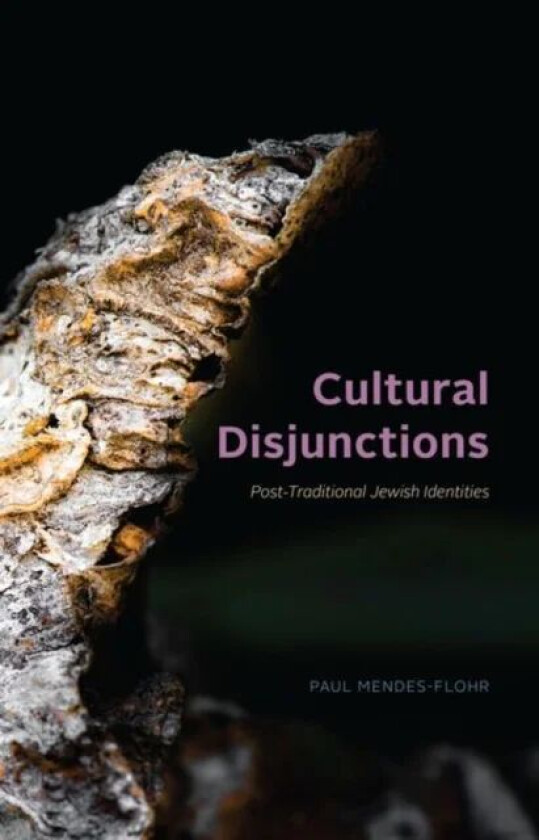 Cultural Disjunctions av Paul Mendes-Flohr